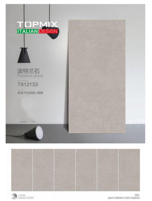 Buy Ceramic Modern Floor Tiles online manufacture