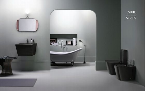 Bathroom Single Suite Commode Sanitaryware Water Closet Toilet Bowl Custom