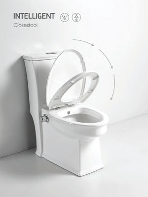 White Bathroom Sanitary Ware One Piece Ceramic Water Closet Flush Closestool Toilet S Trap