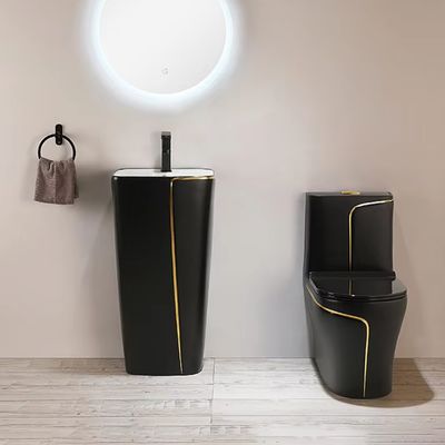 Matte Dual Flush Single Suite Commode Toilet Floor Mounted WC Water Closet