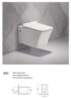 Wall Hung Bathroom Sanitary Ware Washdown Floating Toliet Bowl Closestool